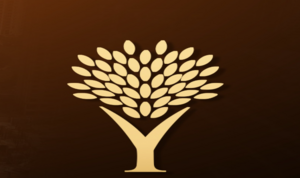 Joy Group